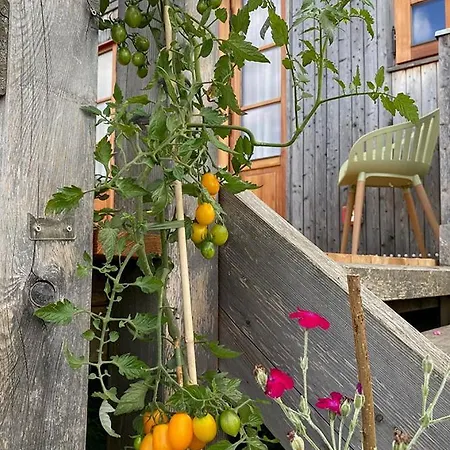 Tatil Evi Wohnwagon Tiny House Louisa *